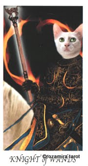 Cat's House Tarot by Hiroko Miyamoto